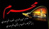 خنده کنان می رود روز جزا در بهشت  هر که به دنیا کند گریه برای حسین . . .
